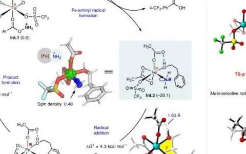 南开大学Nature Catalysis: 铁-氨基自由基实现高选择性芳烃C-H胺化反应
